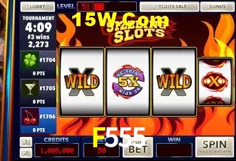 F555 - User Statistics